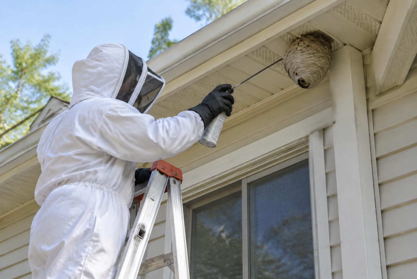 Technician in protective gear treating a wasp nest under the eaves of a house